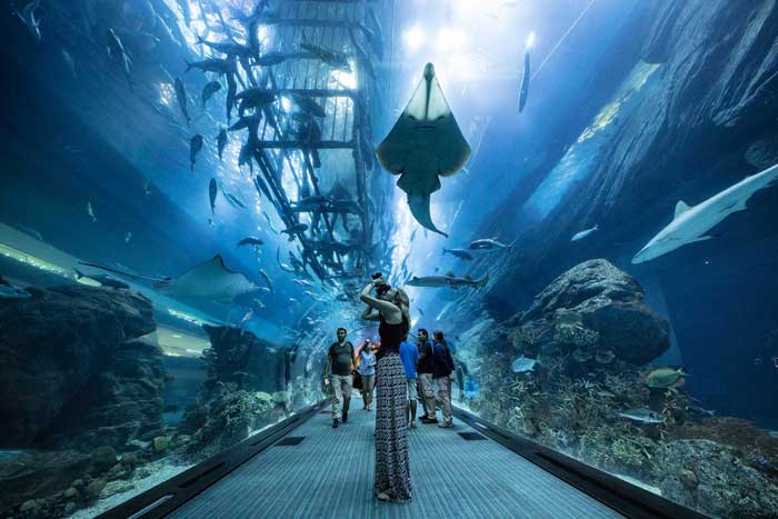  аквариум в Дубае