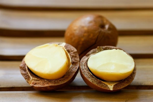 Масло макадамии – натуральный рецепт красоты